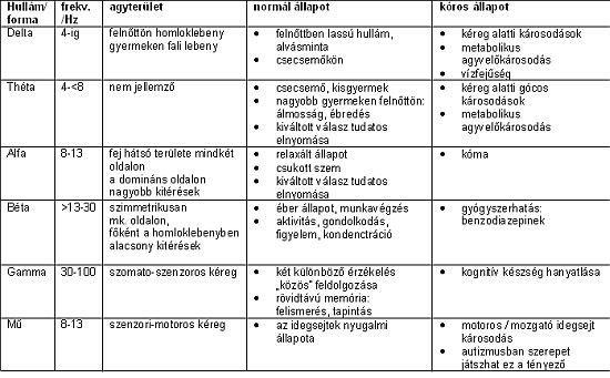 Az EEG klinikai alkalmazása és néhány érdekesség