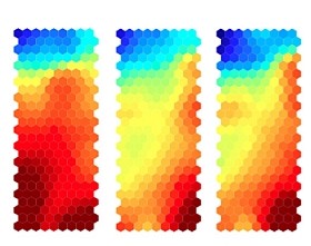 Számos betegséget okozhat az immunhiány!