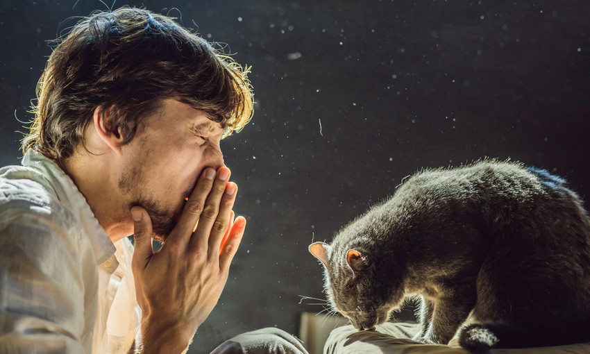 Vajon allergia felnőtt korban is kialakulhat? Mi történhet, ha nem kezeltetem? Léteznek allergénmentes háziállatok?