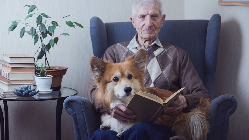 Alzheimer-kór férfi kutya