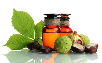 Mire jó a vadgesztenye? A szakgyógyszerész szerint ezeken a bajokon segíthet