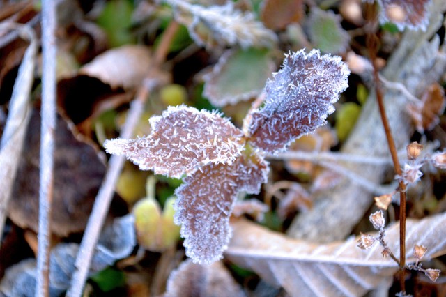 Orvosmeteorológia: a reggeli fagy után kedd estére melegfront okozhat panaszokat