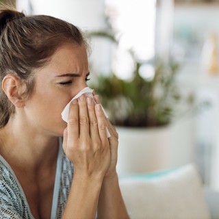 Minden 4. magyart érint az allergia – így találhatjuk meg gyorsan a valódi okait című cikk nyitóképe