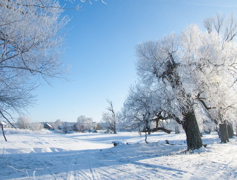 sarkvidéki hideg érkezik minusz fagy