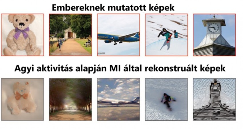 japán, kutatók, mi, agy