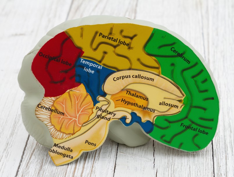 Hipofízis elégtelenség tünet vizsgálat kezelés