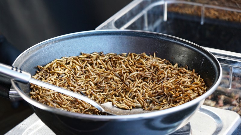 Ebben az étteremben kukacok vannak az étlapon