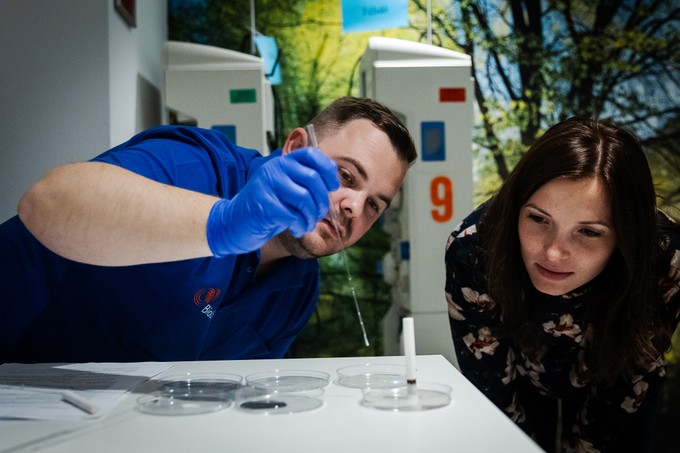 Meglepetések és kulisszatitkok a véradásról a Plazmaadók Éjszakáján című cikk nyitóképe