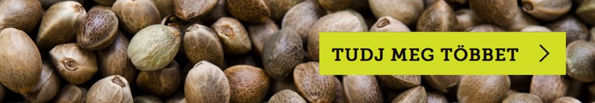 Superfood: mit mivel helyettesíthetünk, hogy egészségesebbek legyünk?