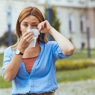 Vigyázz, kész, rajt! Elindult a pollenszezon, készüljenek az allergiások! című cikk nyitóképe