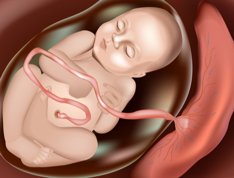 burokban született, szülés, mentőszolgálat,mentő, veddészreamentőt