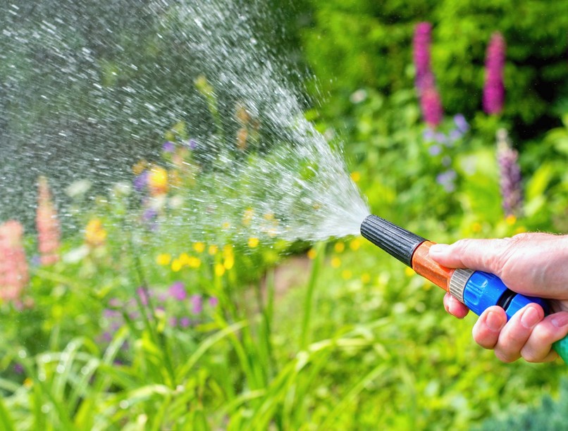 locsolás, kert, nyár, infarktus