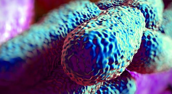 Legionella Pneumophila: elszaporodása az ivóvízrendszerekben nagyon súlyos következményekkel járhat