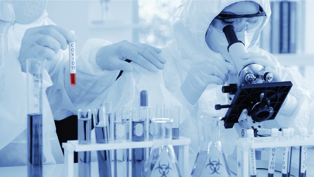 Veszélyes vírust azonosítottak magyarországi denevérekben, emberre is átterjedhet