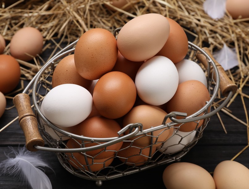 melyik jobb fehér barna tojás különbség