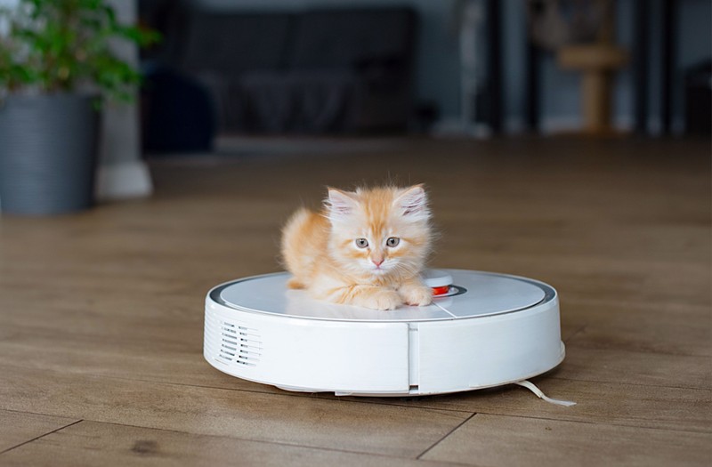 Megdöbbentő mennyiségű atka ürüléket lélegzünk be naponta