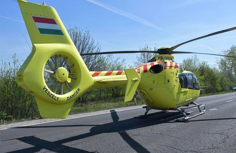 Éppen kirándultak az erdőben, és csak ennyit érzett az asszony - ha nincs a férje, már nem él