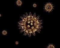 Ami igazán fontos: kampány a méhnyakrák ellen