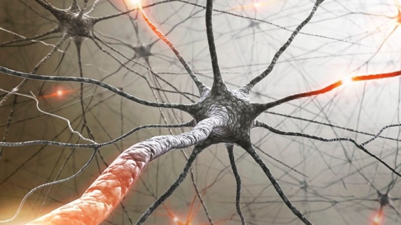 multiple_sclerosis_masolata_0