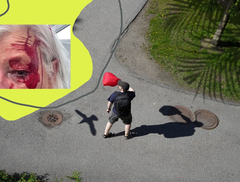 madár sirály támadás madártámadás sürgsségi