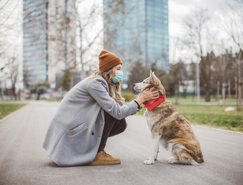 koronavírus, covid, kutya, brit variáns