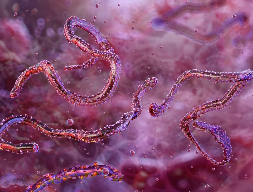 marburg vírus Tanzánia vérzés hírek WHO