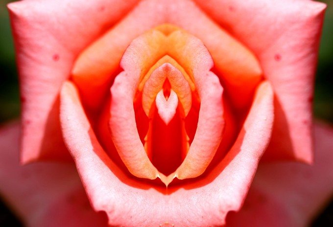 Ozempic-vagina: amikor a gyors fogyás az intim zónát is megváltoztatja című cikk nyitóképe