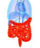 Mit tudhat egy múmia az elhízásról?