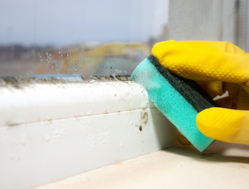 penesz ellen hazi módszer praktika otthon