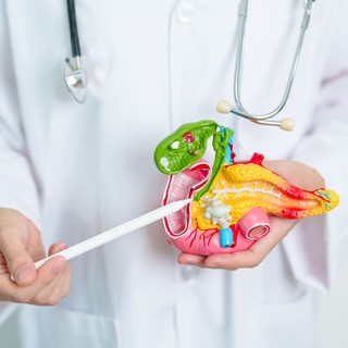 Öt hétköznapi szokás, amely alattomosan károsítja a hasnyálmirigyét című cikk nyitóképe