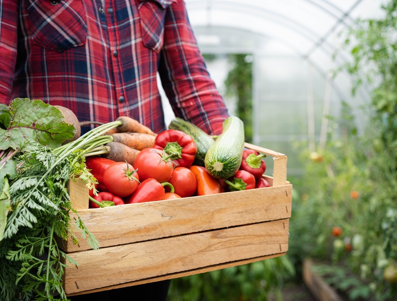 honnan tudom hogy bio