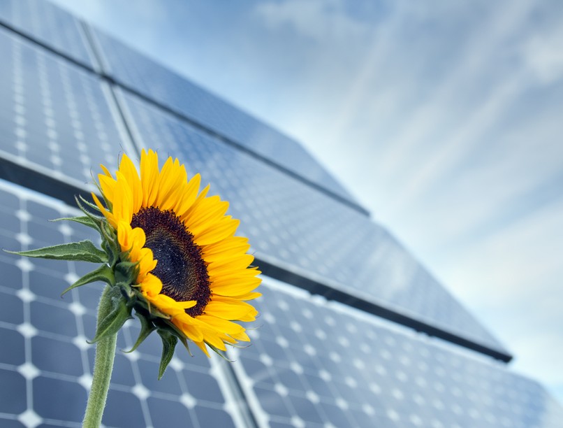 napelem, napraforgó, meteorológia, ELKH, kutatás, tanulmány, fenntarthatóság, napenergia