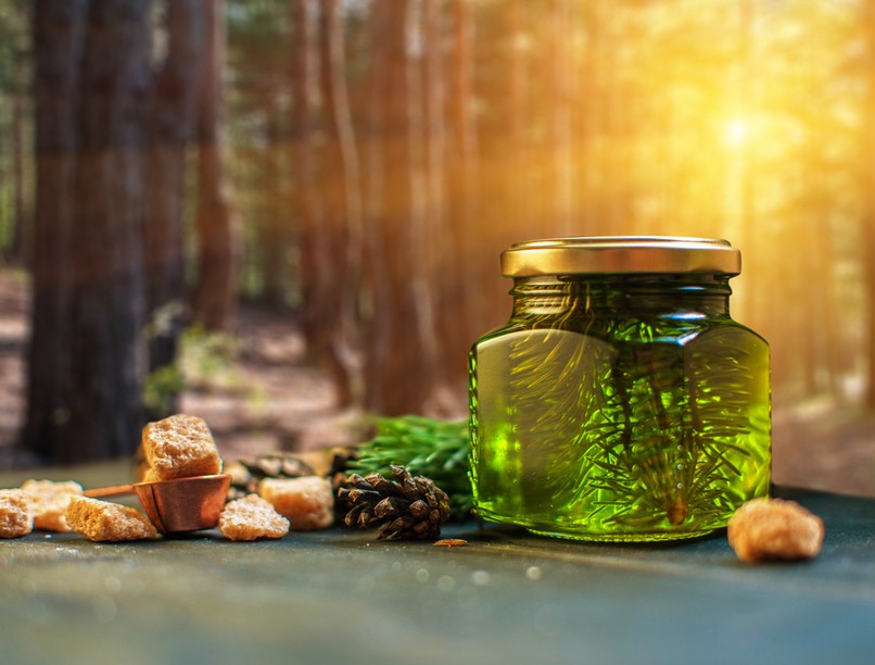 fenyőrügy, lucfenyő, természetes köptető, gyógynövény, fenyőrügy szirup