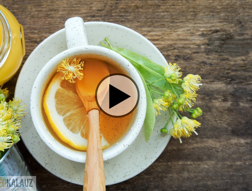 hársfa, tea, gyógynövény, gyógytea, gyűjtés