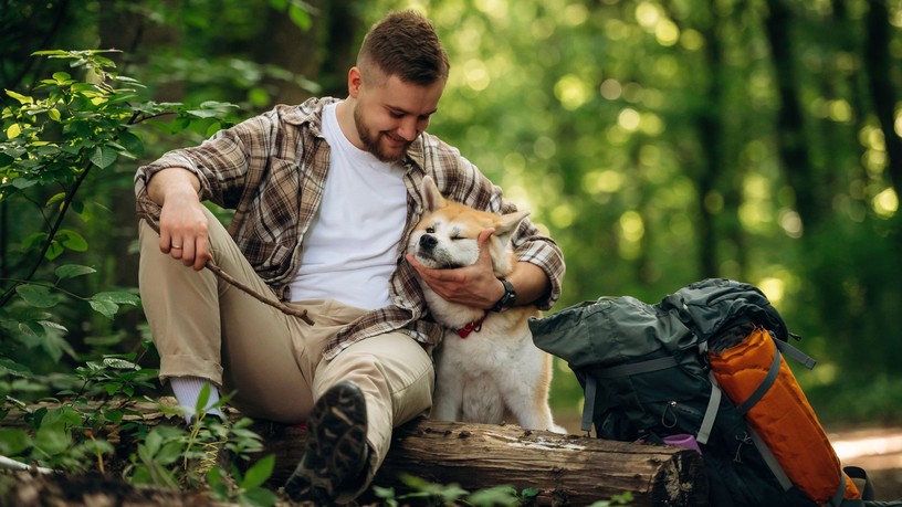 kirándulás kutya mire kell figyelni elsősegély