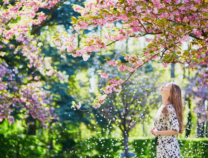 allergia, kertészkedés, növény, kert, pollen