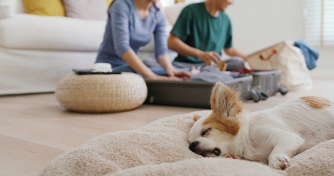 Három ok, amiért egyre több magyar keresné a gyógyulást külföldön című cikk nyitóképe