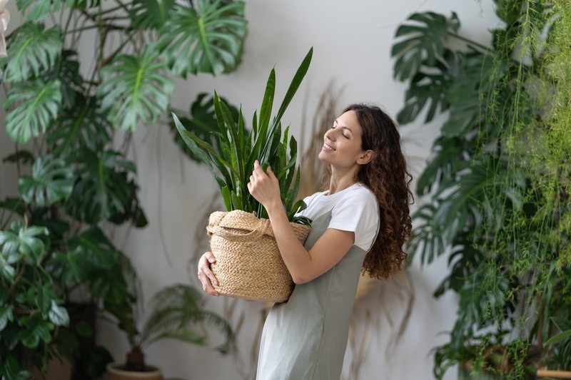 Rosszul alszik? Ezeket a szobanövényeket költöztesse be a hálóba!