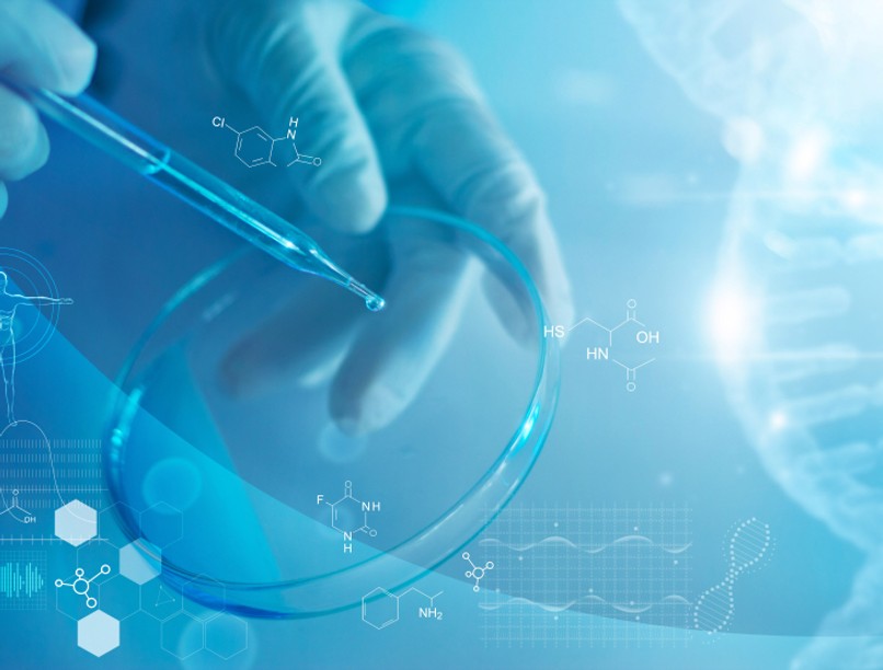 kutatás, rák, teszt, tüdőrák, daganat