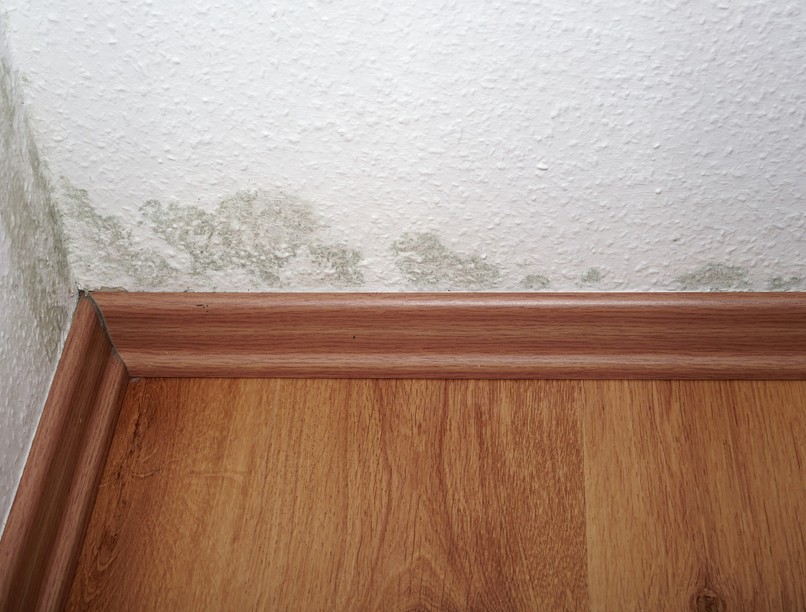 allergia, lakás penész köhögés oka lakás