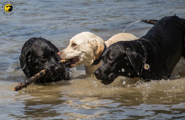 Ilyen egy boldog vakvezető tanuló gyerekkora
