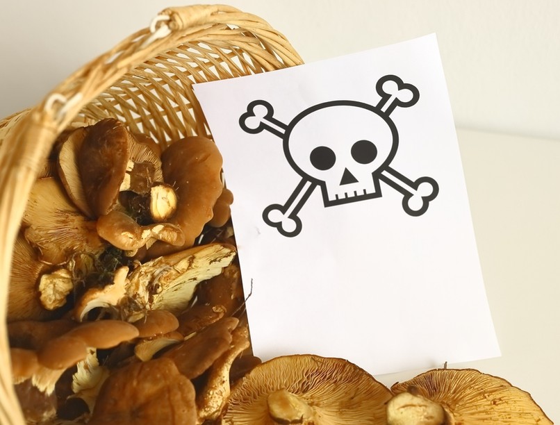 elsõsegélynyújtás gombamérgezés tünetei