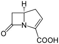 Megint az NDM-1-ről (szuperbaktérium-veszély)