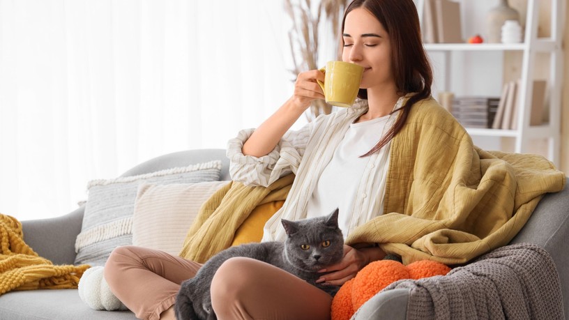 legjobb tea éjszakára belek emésztés