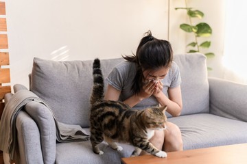 Macskaallergia: ezekről a tünetekről ismerheti fel, ha allergiás a macskaszőrre