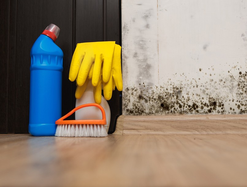 penészes fal ellen házi módszer praktika