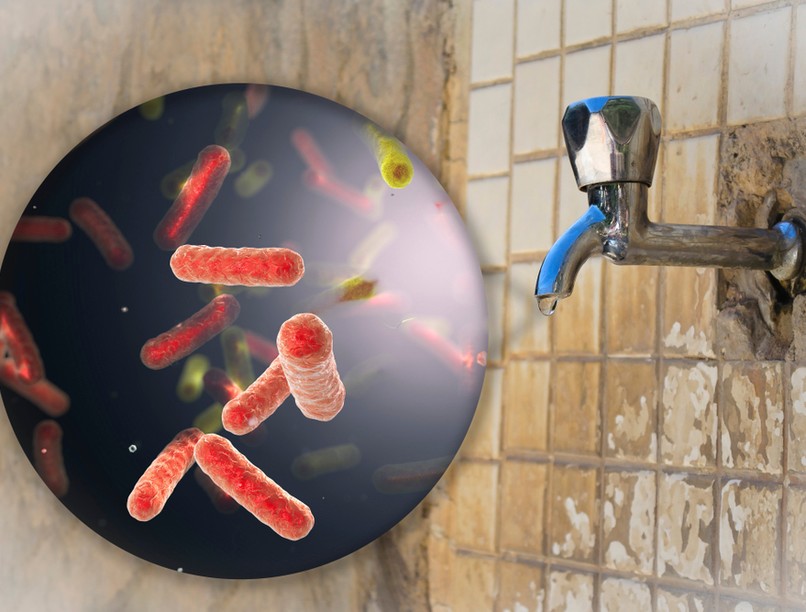 kolera járvány fertőzés tünete