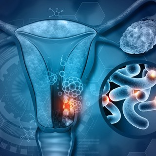 Hogyan alakul ki a szervezetben a gyulldás, és milyen szerepet játszanak benne a petefészkek menopauza után? című cikk nyitóképe