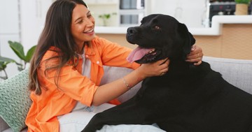  Úgy beszélget a háziállatával, mintha ember lenne? Ezt jelenti a pszichológia szerint 