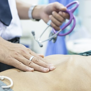 Mire utal a megnagyobbodott lép? című cikk nyitóképe